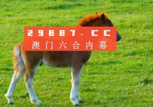 澳门6合开彩视频，最新版查询表格的深度解析与使用指南澳门6合开奖结果记录