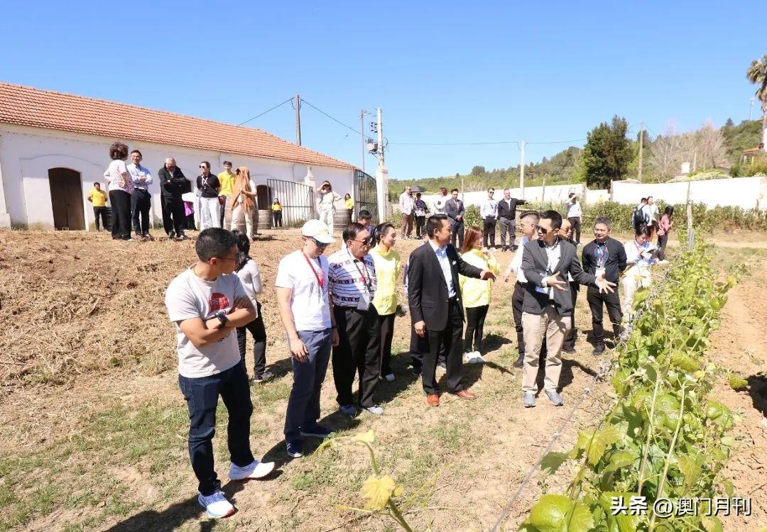 澳门6合开彩全年查询表，手机版下载与安装指南2021澳门6合开彩开奖